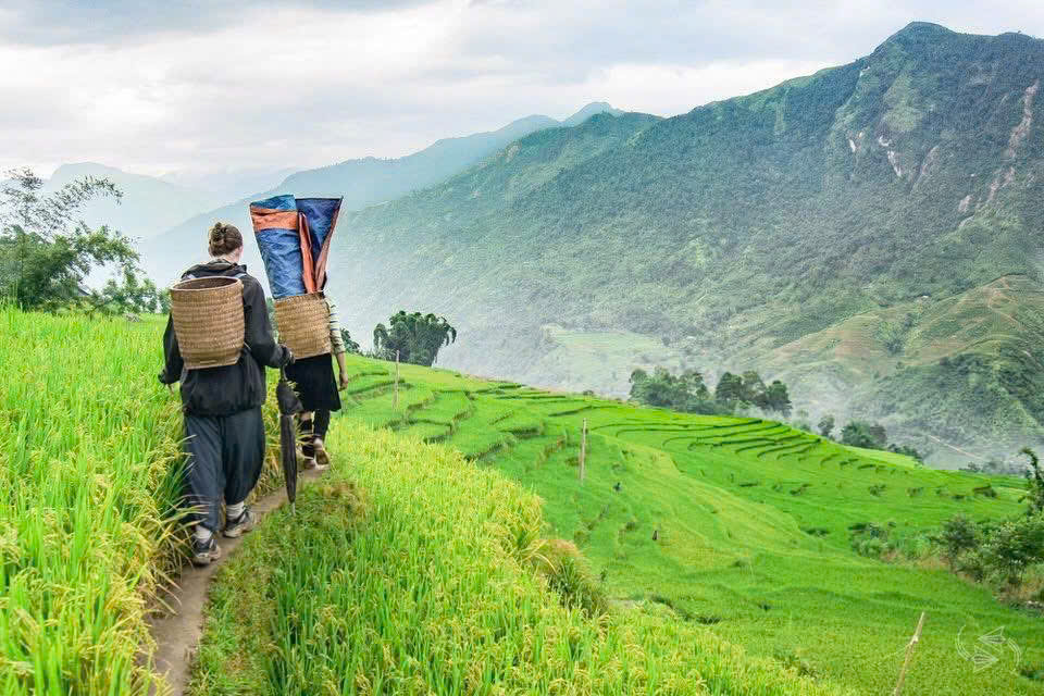 Private Sapa Tour Trekking 2 Days