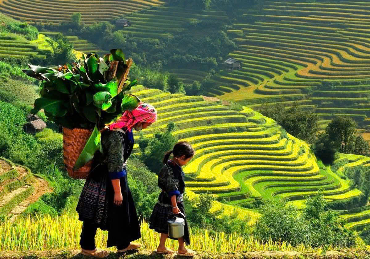 Sapa Tour Private From Hanoi Hmong People